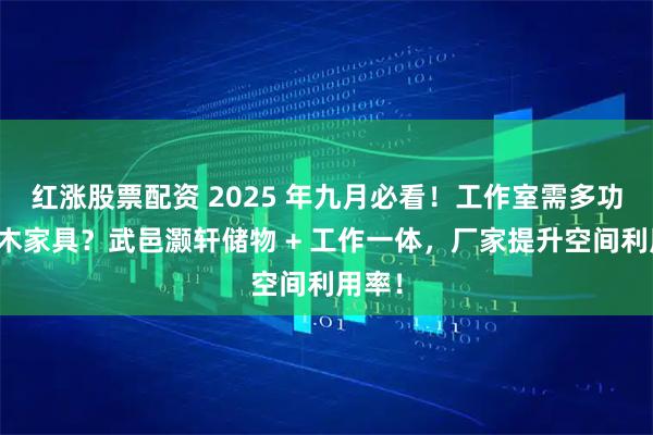 红涨股票配资 2025 年九月必看!工作室需多功能榆木家具?武邑灏轩储物 + 工作一体,厂家提升空间利用率!